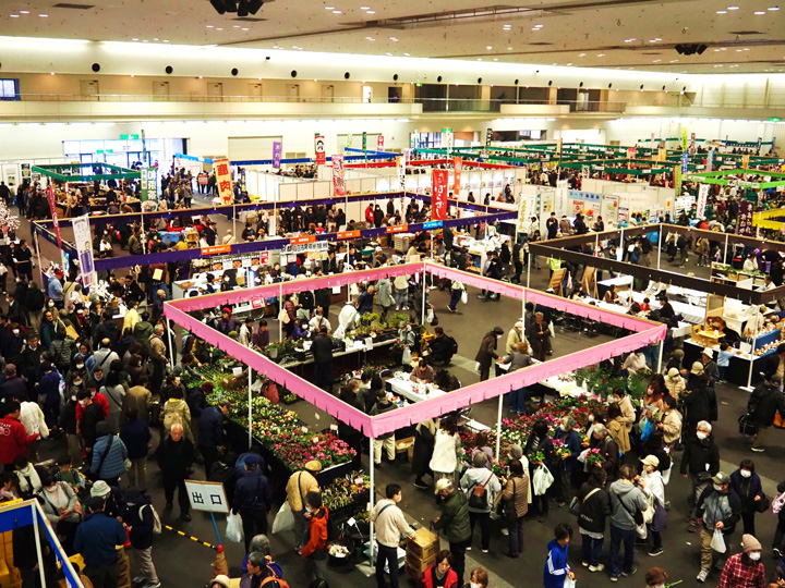 販売コーナー（野菜①）