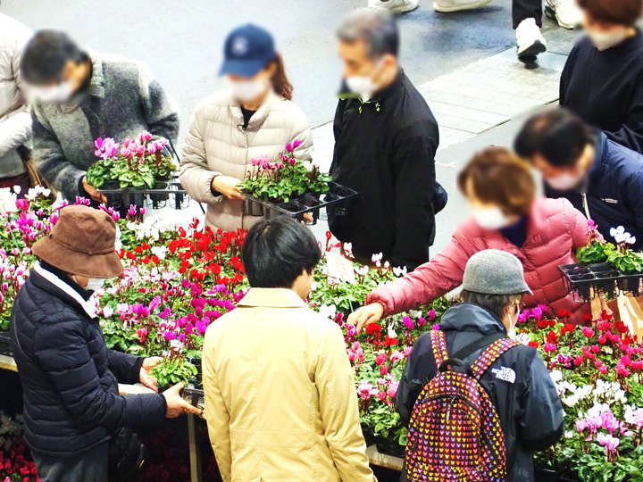 販売コーナー（花き）